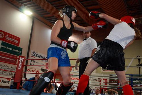 KICKBOXING-NEWS - portal - wszystko o kickboxingu!, Warszawa, mazowieckie