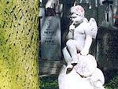 Zdjęcie nr 1 - kliknij, aby powiększyć