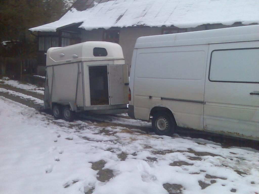 Transport przewóz Koni Kielce Kraków Polska , świętokrzyskie