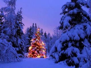 Boże Narodzenie w górach, Bystrzyca Kłodzka, dolnośląskie