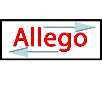 Logo firmy ALLEGO
