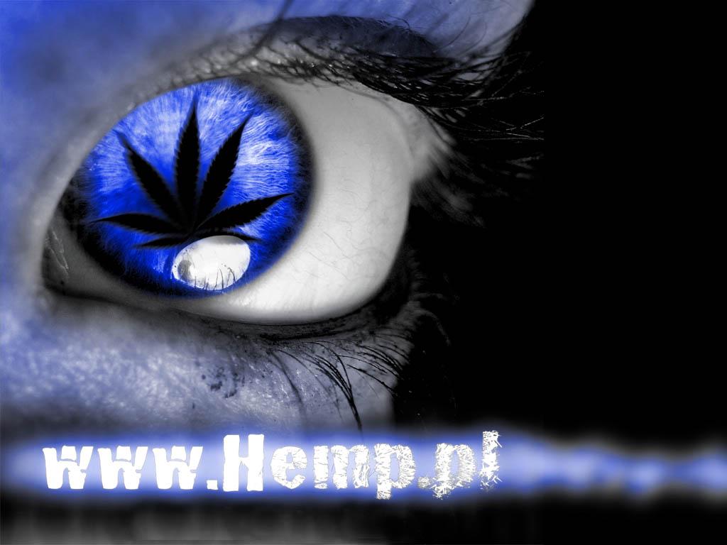 HEMP