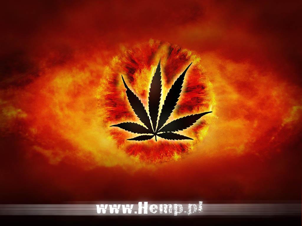 HEMP.pl