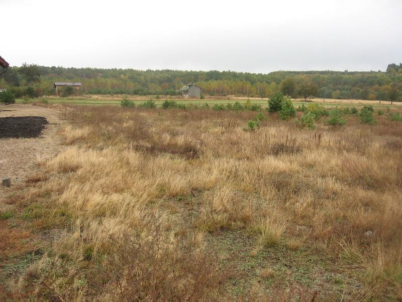 Działka  pod budowę domu  1350 m2, Gródek gm Drzycim, kujawsko-pomorskie