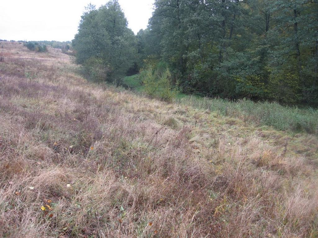 Działka  pod budowę domu  1350 m2, Gródek gm Drzycim, kujawsko-pomorskie