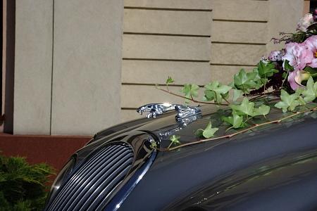 auto do ślubu , Jaguar S-type , limuzyna , samochód ślubny