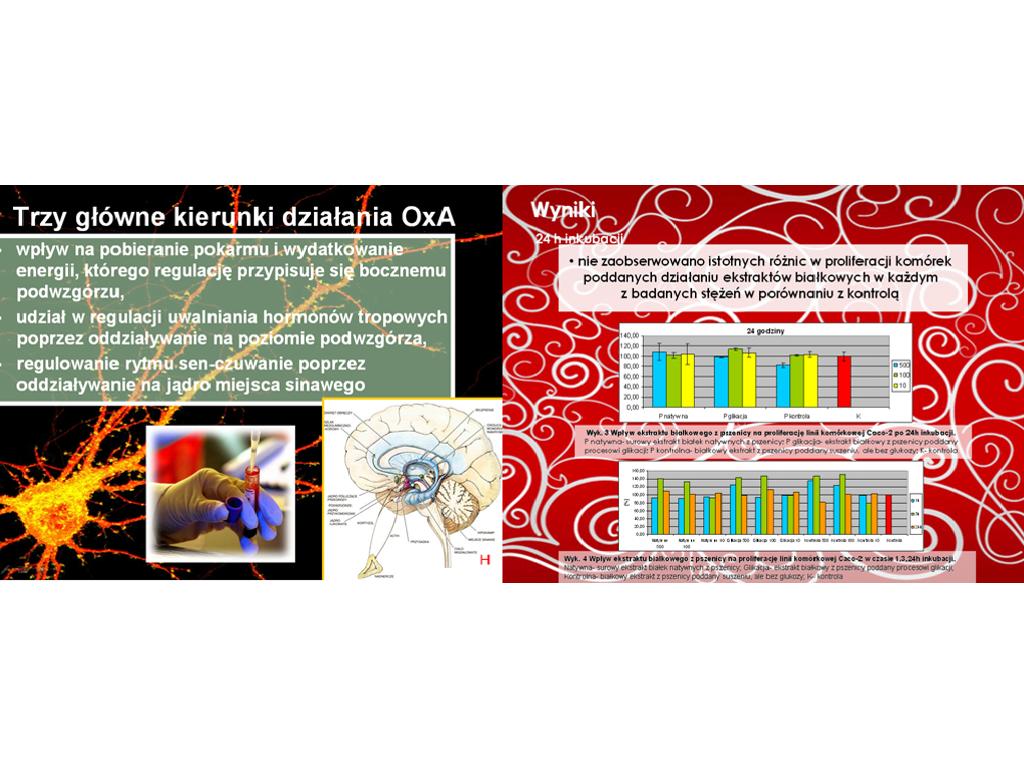 Prezentacje multimedialne ppt _Profesjonalnie_