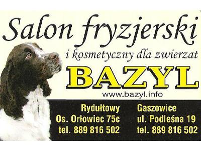 Salon Bazyl - kliknij, aby powiększyć