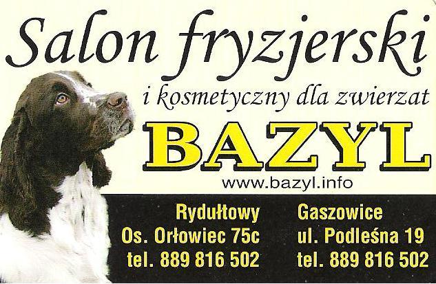 Salon Bazyl