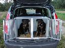 Budowa klatek do transportu psów w samochodach.