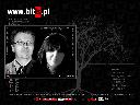 www.bitis.pl - BiTiS Witold Augustynski - projektowanie stron www, pozycjonowanie seo