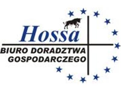 BDG HOSSA - profesjonalne usługi dla biznesu - kliknij, aby powiększyć