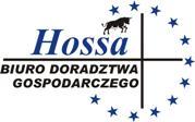 BDG HOSSA - profesjonalne usługi dla biznesu