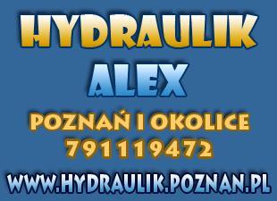 Hydraulik usługi sanitarne wod,kan,co,gaz poznań, wielkopolskie