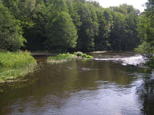 Spływy kajakowe Drawą, Korytnicą, Dobiegniew Głusko, lubuskie