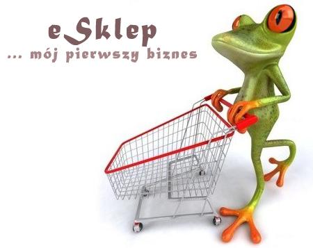 eSklep, internetowy sklep