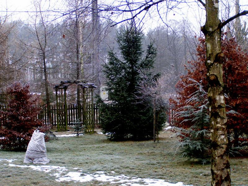 Agroturystyka , domek do wynajęcia nad jeziorem, PłASKA, podlaskie