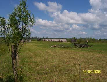 pole namiotowe nad Biebrzą szałasy na palach