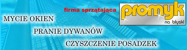 Mycie okien, szorowanie posadzek, pranie dywanów,, Poznań, wielkopolskie