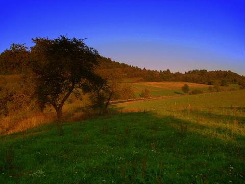 BIESZCZADY- ATRAKCYJNIE POŁOŻONA DZIAŁKA, Ustrzyki Dolne, podkarpackie