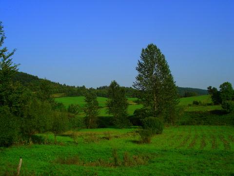 BIESZCZADY- ATRAKCYJNIE POŁOŻONA DZIAŁKA, Ustrzyki Dolne, podkarpackie