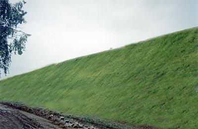 Trawa na biowłókninie (układanie), Aleksandrów Łódzki, łódzkie