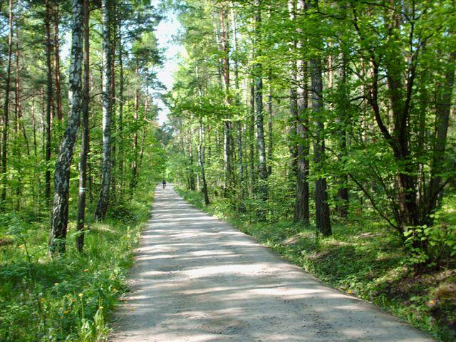 GOŚCINIEC ŚWIĘTOKRZYSKI = WEEKEND i TETRAPODY.., Zagnańsk,  pow kielecki, świętokrzyskie