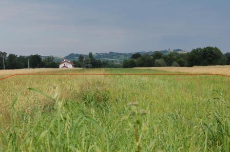 Sprzedam działkę budowlaną, Pierzchów