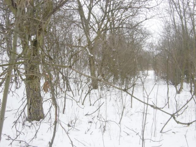 Sprzedam działkę budowlaną, Słomniki, małopolskie