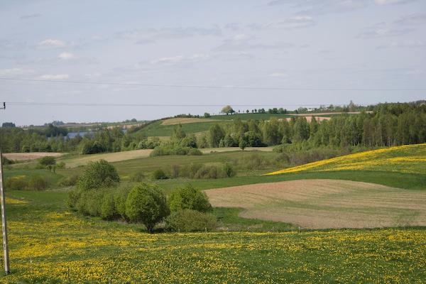 Gospodarstwo agroturystyczne, Wiżajny, podlaskie