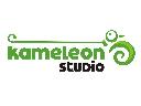 Kameleon Studio, marketing, reklama, PR, internet, Poznań, wielkopolskie