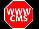 Firmowa strona WWW z CMS +hosting +subdomena +FV, Chojnów, dolnośląskie