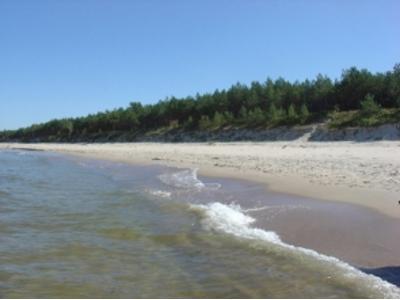 Plaża w Stegnie - kliknij, aby powiększyć