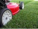 Trawnik zakładanie trawnika koszenie wertykulacja
