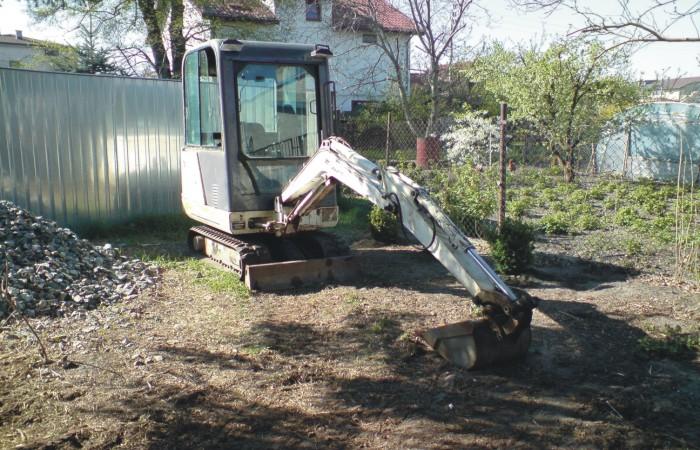 Bobcat