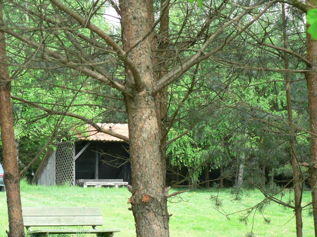 Mazury domek letniskowy nad jeziorem, Stacze, warmińsko-mazurskie