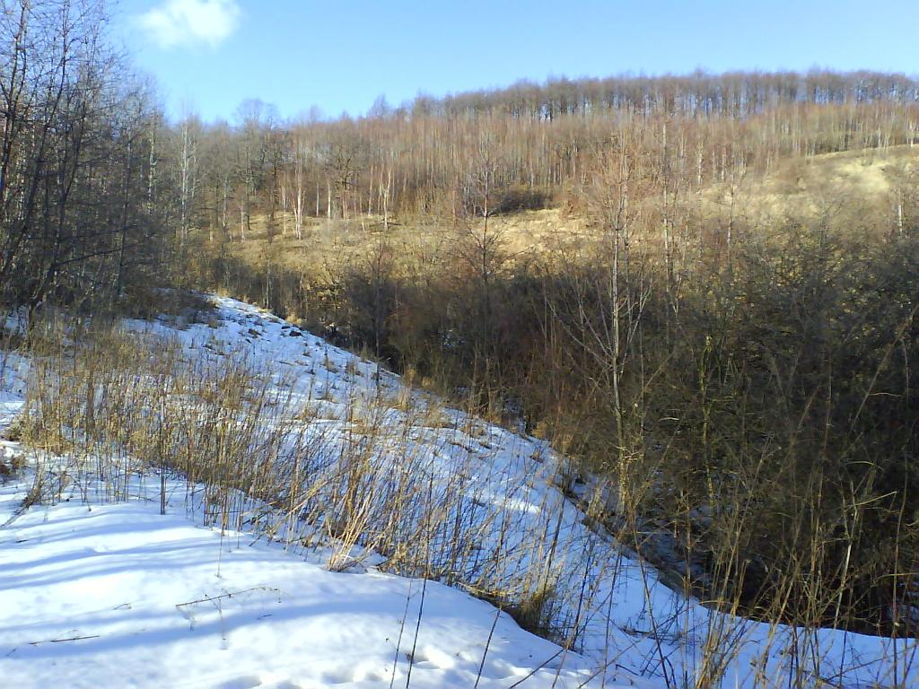 Rzeczoznawca majątkowy - wycena nieruchomości, Świdnica, Wrocław, Strzegom, Żarów, dolnośląskie