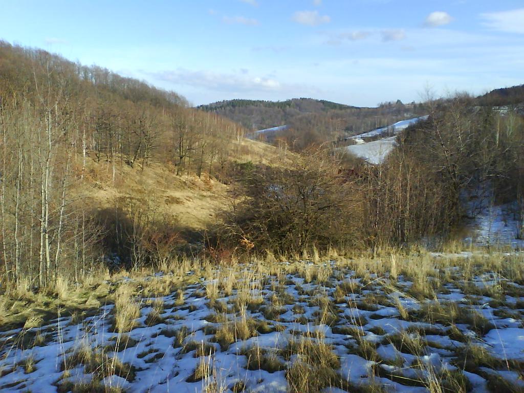 Rzeczoznawca majątkowy - wycena nieruchomości, Świdnica, Wrocław, Strzegom, Żarów, dolnośląskie