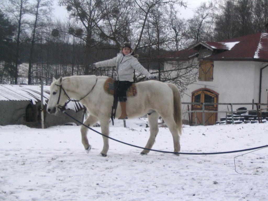 śnieg to nie przeszkoda w jeździe konnej