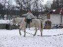 śnieg to nie przeszkoda w jeździe konnej