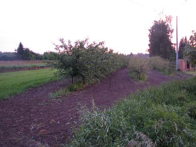 Zdjęcie nr 1 - kliknij, aby powiększyć