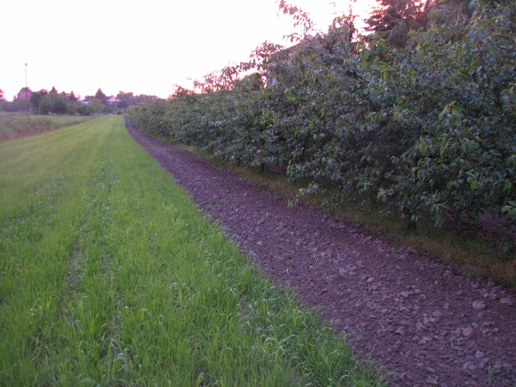 Działka na sporzedaz- Głusk, Lublin, lubelskie