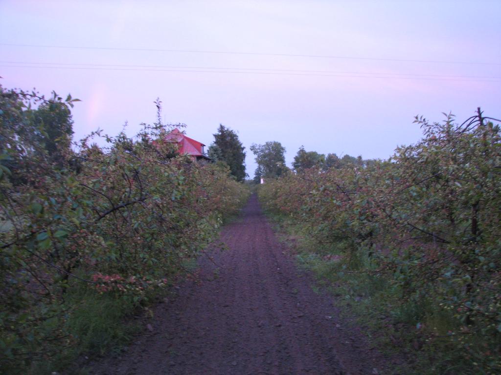 Działka na sporzedaz- Głusk, Lublin, lubelskie