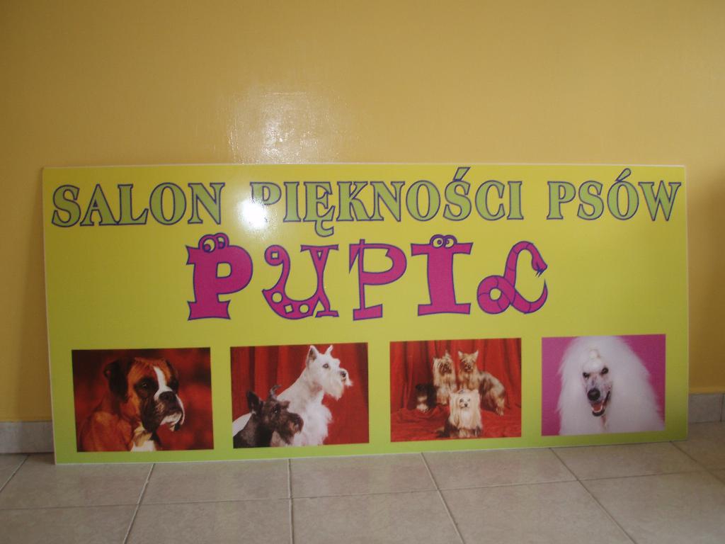 Salon Piękności Psów PUPIL // Kraków, małopolskie