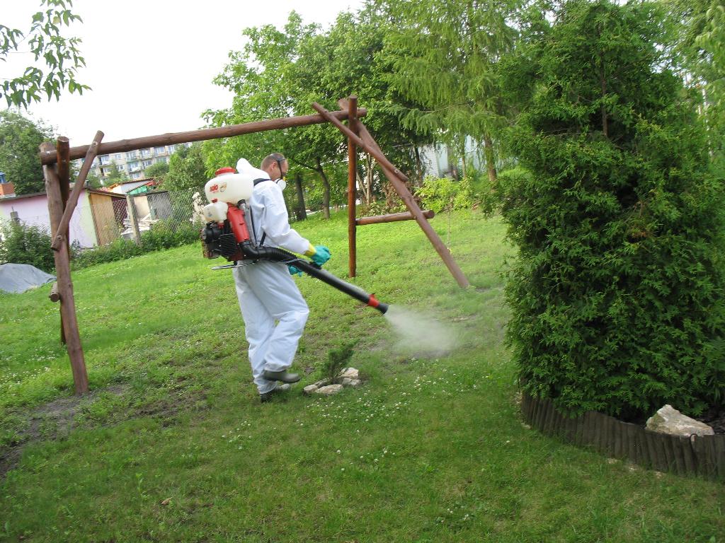 Dezynsekcja dezynfekcja deratyzacja, Dąbrowa Górnicza, śląskie