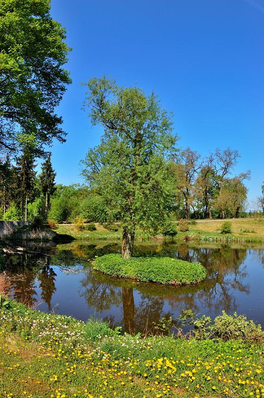 Wesela, sala na wesela, piła, pila, pałac, wielkopolskie