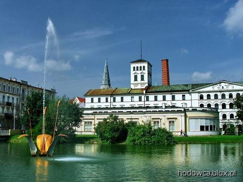 Przygotowanie na Architekturę  na PŁ oraz PW, Łódź, łódzkie