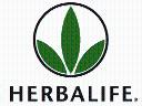 Wellness  /  Herbalife