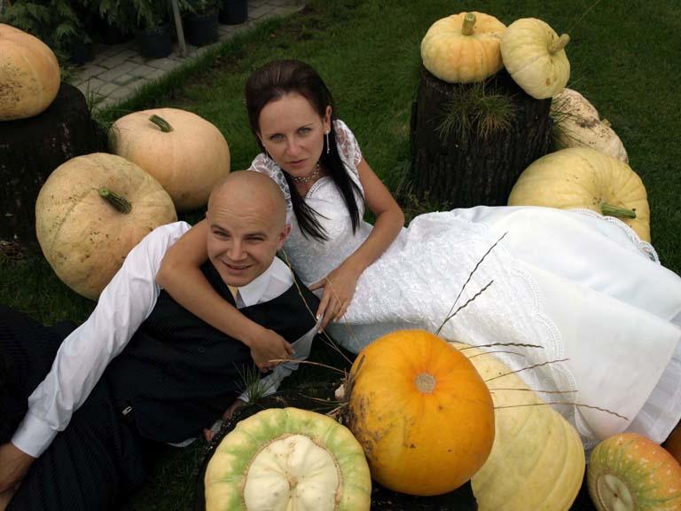 Fotografia,fotoreportaże, BielskoBiała, Pszczyna, Żywiec, śląskie