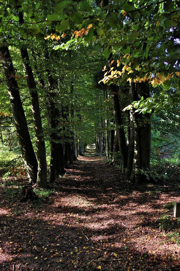Wesela w pile, wesele w Pile, PAŁAC JABŁONOWO , wielkopolskie